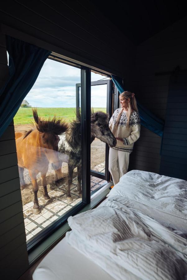 Apartamento Sleeping With The Horses Hvolsvöllur Exterior foto
