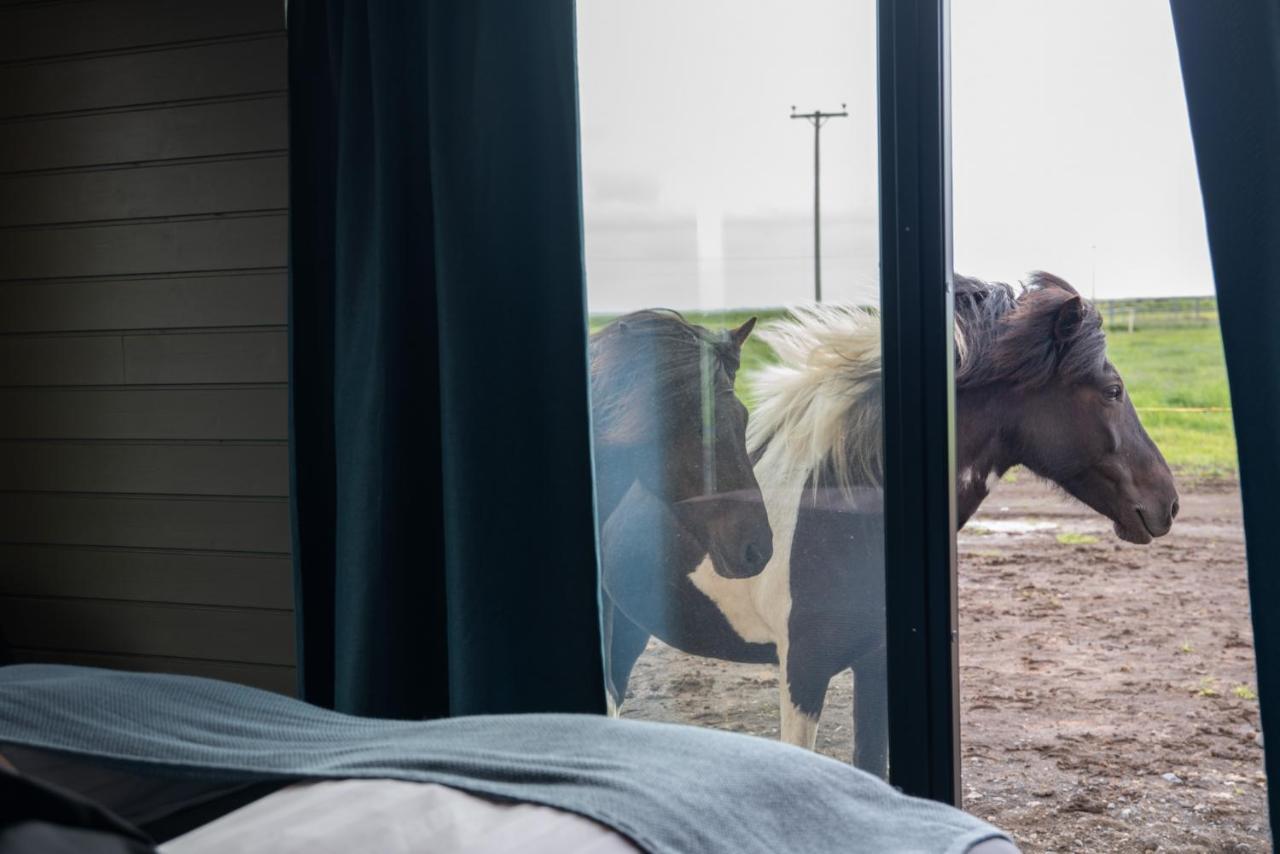 Apartamento Sleeping With The Horses Hvolsvöllur Exterior foto