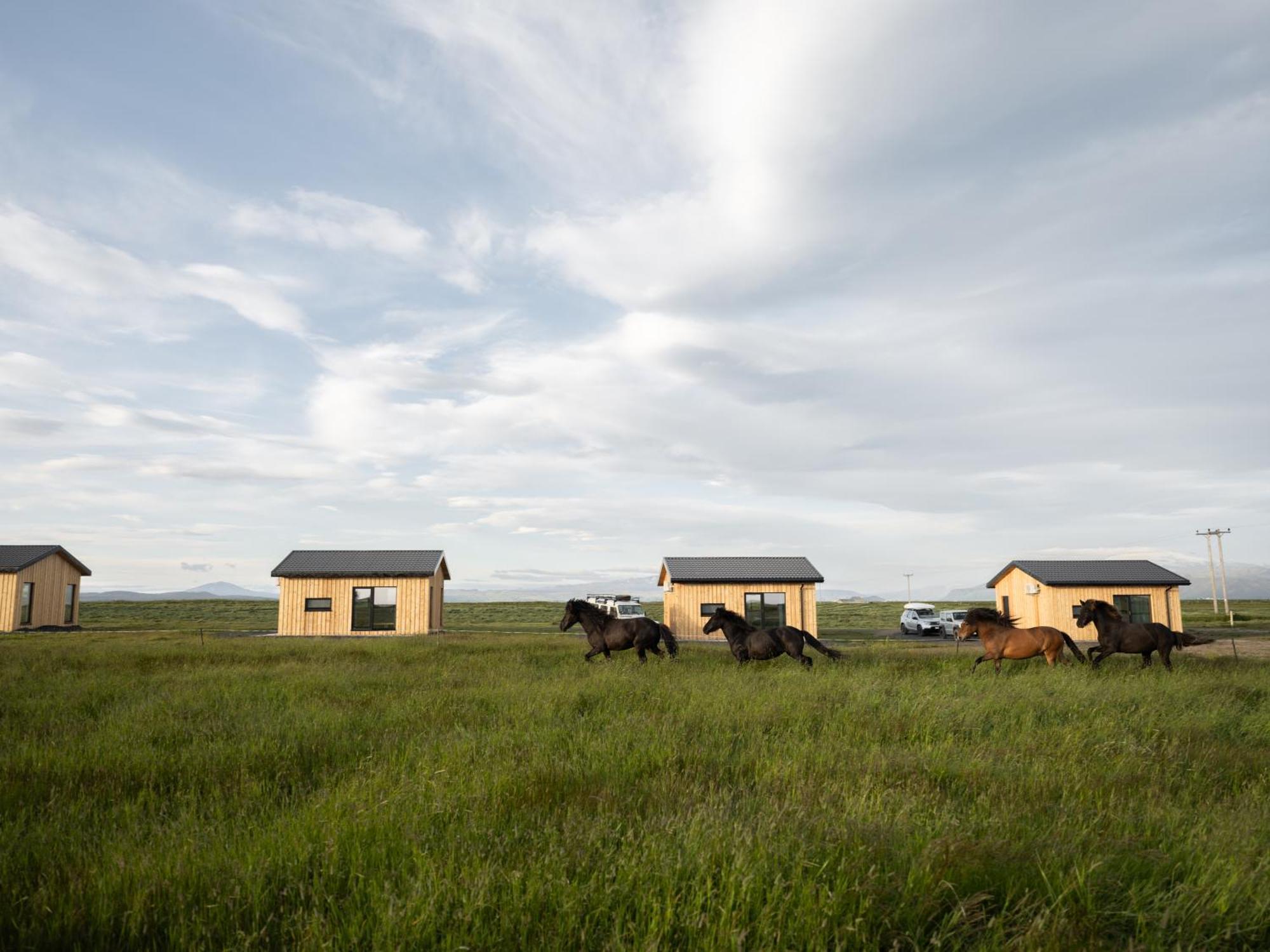 Apartamento Sleeping With The Horses Hvolsvöllur Exterior foto