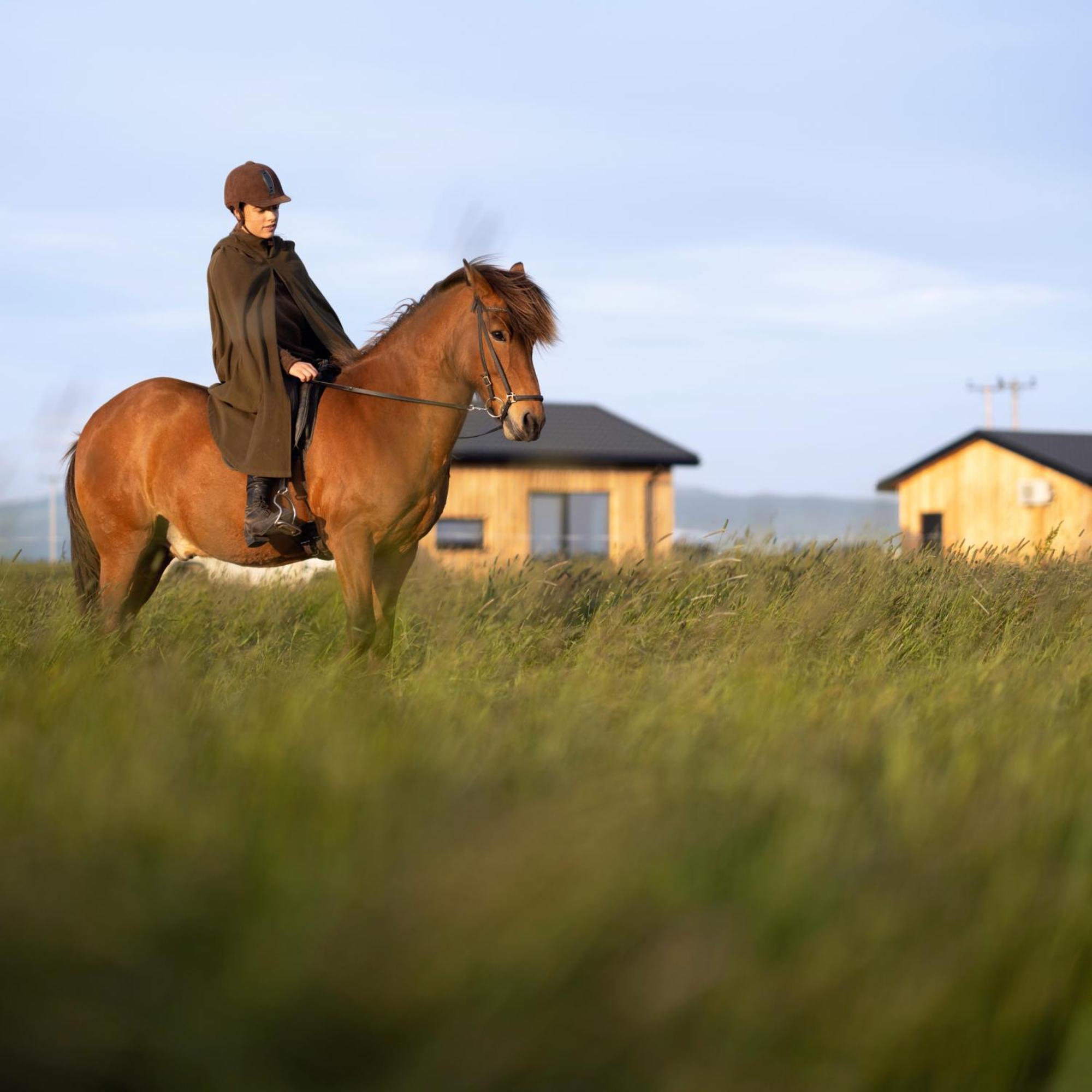 Apartamento Sleeping With The Horses Hvolsvöllur Exterior foto